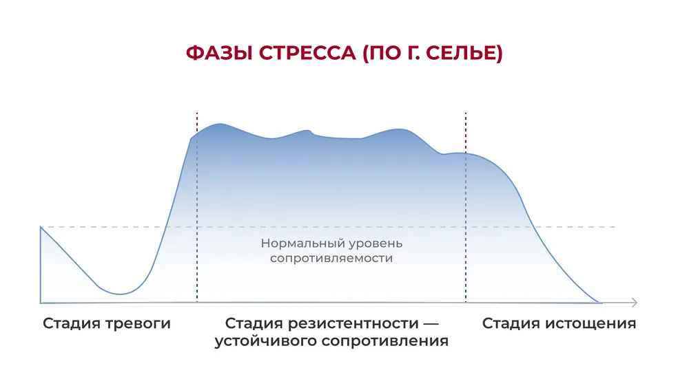 стадии развития стресса